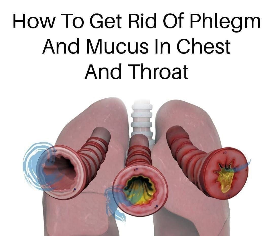 Natural Ways to Clear Phlegm and Mucus from Your Chest and Throat